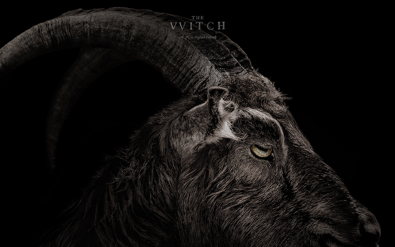 Illustration for article titled Will Goats Recover From The Witch? Yes.